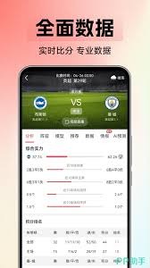 足球世界杯签证申请难题引发国际球迷不满
